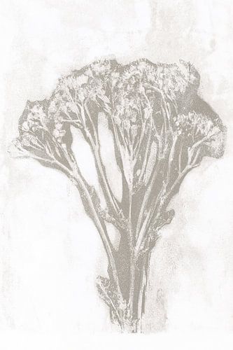 Fleur taupe dans un style rétro. Art botanique moderne et minimaliste en gris béton et blanc.