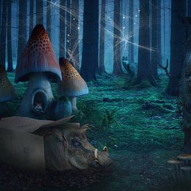 La forêt des contes de fées sur AD DESIGN Photo & PhotoArt