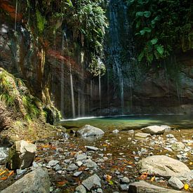 Caldeirão Verde: Een Oase van Rust van Discover Dutch Nature