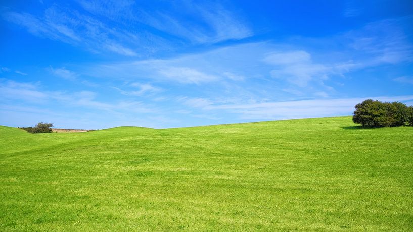 Green grass by Bo Valentino