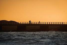 Silhouette eines Radfahrers bei Sonnenuntergang von Vrijgeworteld