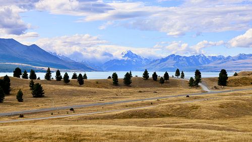 Neuseeland: Pukaki-See und Mount Cook