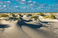 Landschaft mit Dünen auf der Insel Amrum van Rico Ködder thumbnail