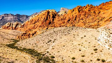 Rock formations in Red Rock Canyon Nevada USA by Dieter Walther