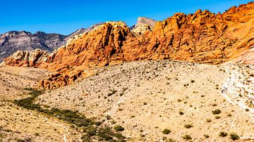 Rotsformaties in Red Rock Canyon Nevada USA van Dieter Walther
