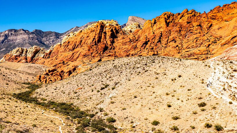 Rotsformaties in Red Rock Canyon Nevada USA van Dieter Walther
