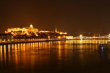 Budapest night view van Ying Chen