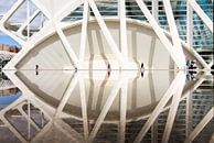 City of Arts and Sciences (Valencia)  van Bert Meijer thumbnail