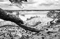 Kootwijkerzand