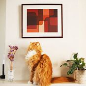 The Coloured Cat profielfoto