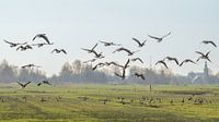 Blick auf den Polder aus der Vogelperspektive