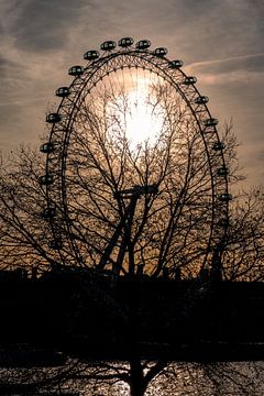 Door de bomen... Londen Eye zien van As Janson