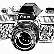 Anne  Van Meurs photo de profil