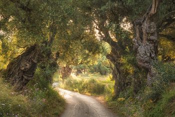 The guardians of Greek history