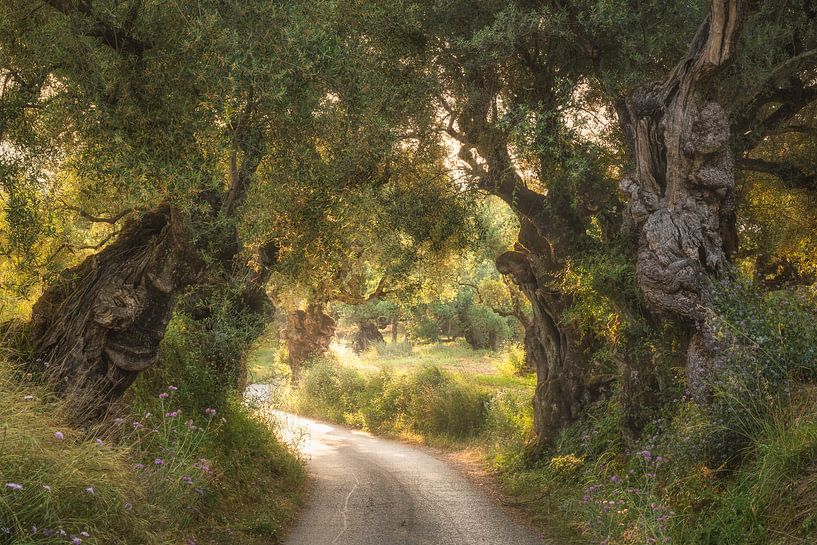 The guardians of Greek history by Loris Photography