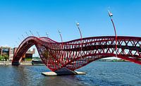Pythonbrug