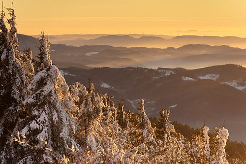Het Zwarte Woud bij Seibelseckle -Ortenaukreis enige momenten voor zonsondergang