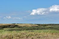 Duinlandschap in het Zwanenwater te Callantsoog met bewolkte blauwe lucht van Ronald Smits thumbnail