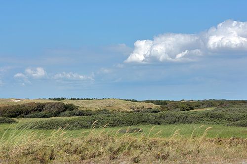 Duinlandschap in het Zwanenwater te Callantsoog met bewolkte blauwe lucht