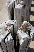 Groynes on the beach of Cadzand, Zeeland.