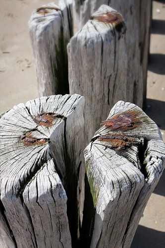 Brise-lames sur la plage de Badzand, en Zélande.
