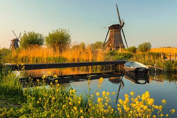 Windmolens bij zonsondergang, Kinderdijk, Nederland van Markus Lange