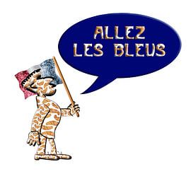 “Allez les Bleus” van Grüntyers .