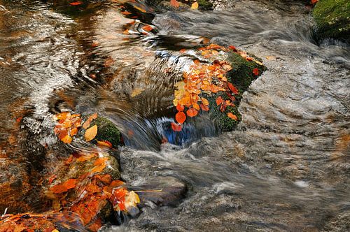 Herfst