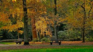 Un jour d'automne ensoleillé