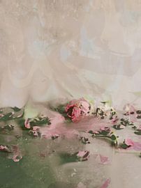 The Last Rose of Summer by Lucy Besson