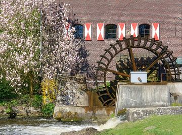 de Brugse molen van Peter Eckert