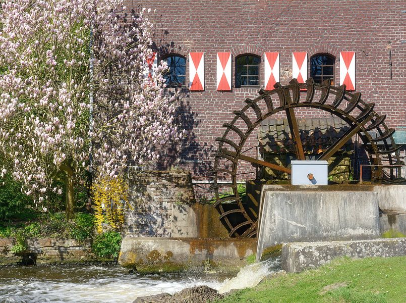die Brüggener Mühle von Peter Eckert