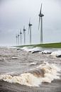 Windturbines aan de IJsselmeeroever in een storm van Sjoerd van der Wal Fotografie thumbnail
