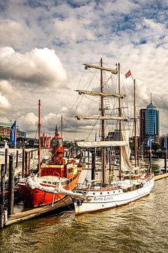 Sailing ship and lightship in Hamburg harbor by Dieter Walther
