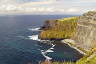 Cliffs of Moher - Irland von Babetts Bildergalerie Miniaturansicht