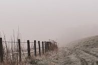 brouillard hivernal par Tania Perneel Aperçu