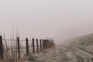 mist in de winter van Tania Perneel