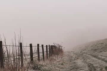 mist in de winter van Tania Perneel