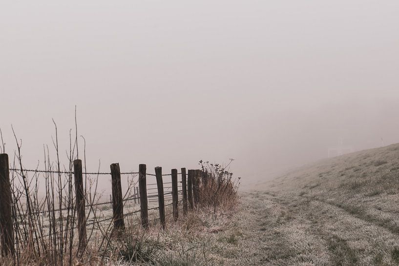 brouillard hivernal par Tania Perneel