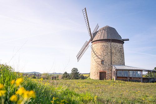 Le moulin de Warnstedt au printemps