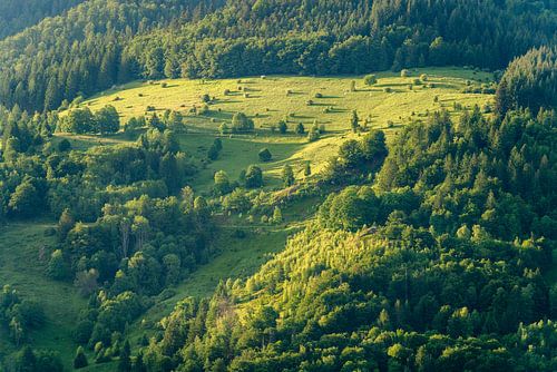 Rund um Schönau im Schwarzwald