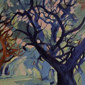 Avenue of old trees by Nop Briex