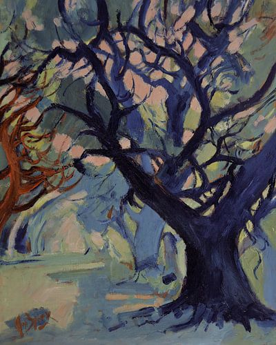 Avenue of old trees by Nop Briex