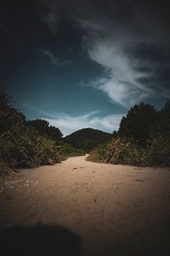 Route de sable dans les collines toscanes sur Roel Timmermans