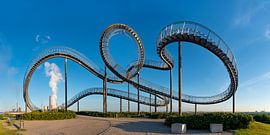 Tiger & Turtle von Walter G. Allgöwer