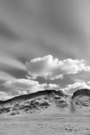 Dune by Kirsten Warner