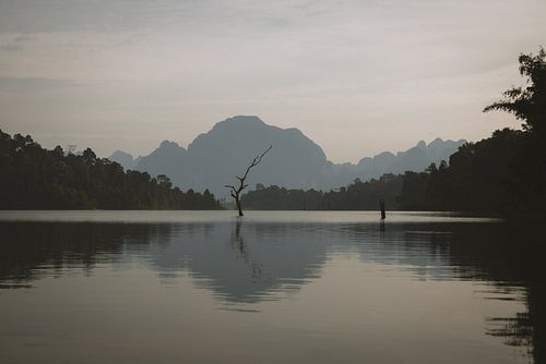 Mystieke Vibe van Cheow Lan Lake: Een Betoverende Ervaring