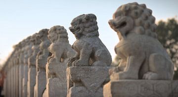 Standbeelden van Leeuwen op een brug. van Floyd Angenent