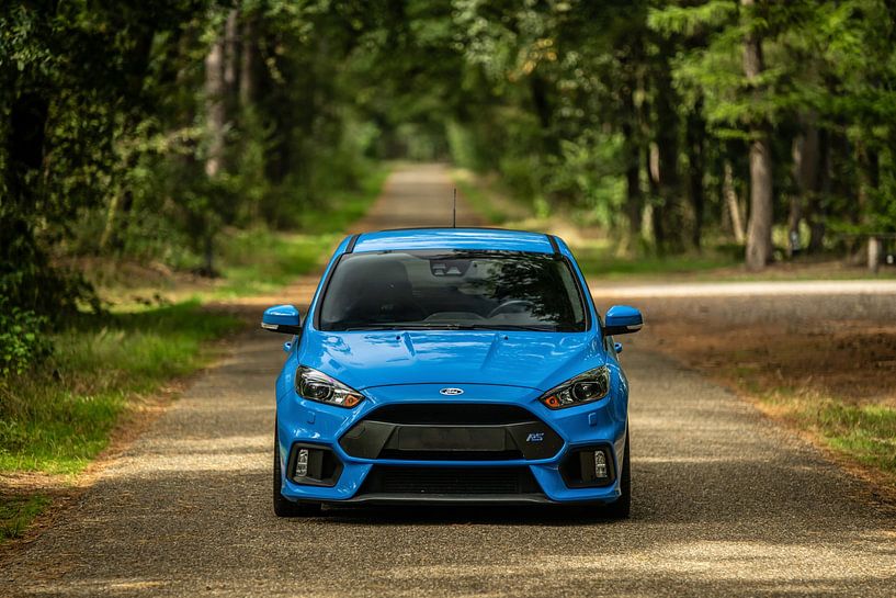 Ford Focus RS in den Wäldern von Bas Fransen