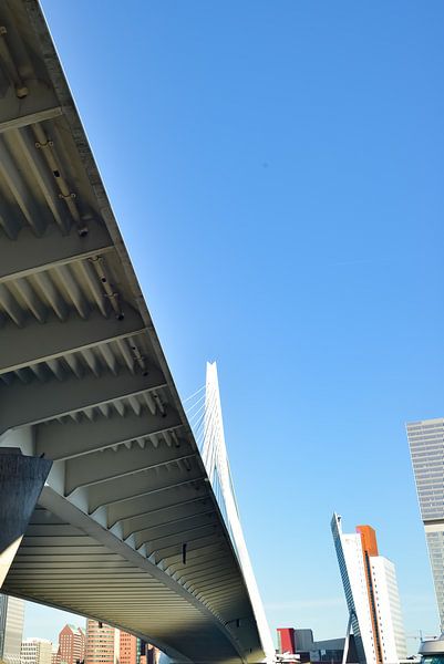 Erasmus Bridge &quot;Uncensored&quot; by Truckpowerr